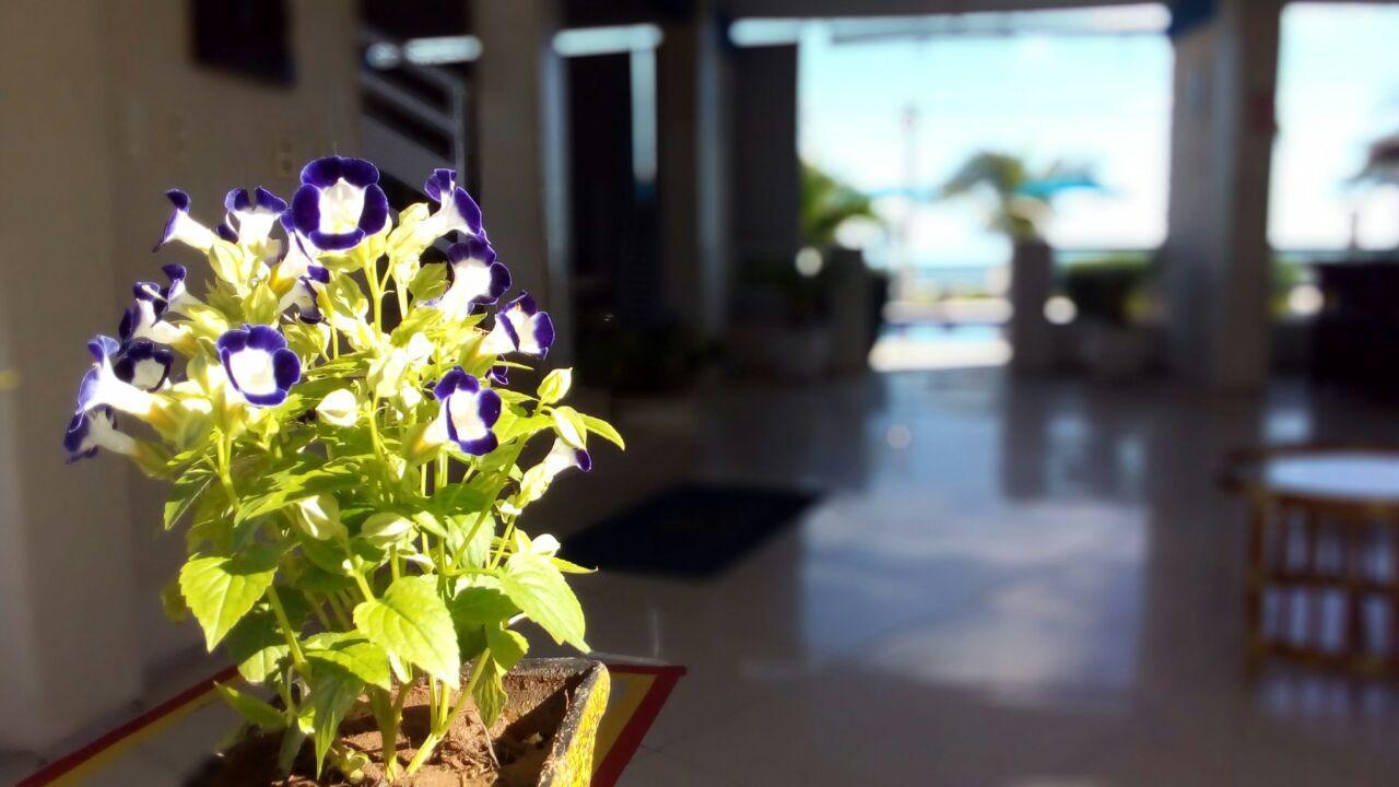 Brisa Mar Hotel Flecheiras Exterior photo